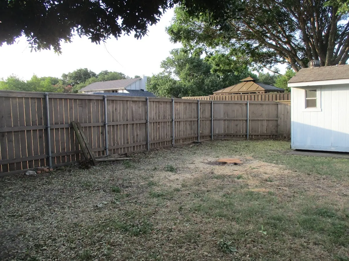 Cleared yard after professional tree removal in Dunlap