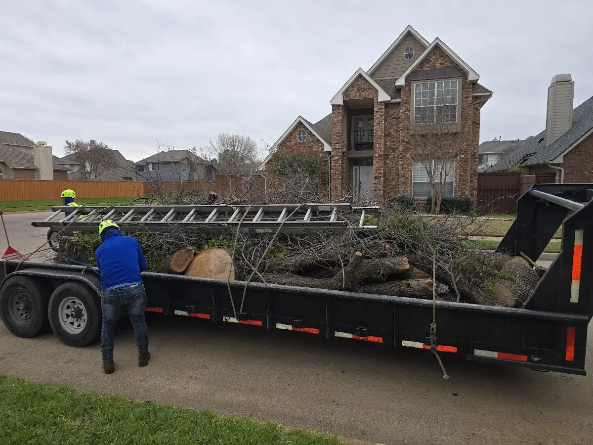 Expert Tree Pest Control with proper safety equipment in Dunlap